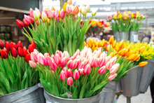 Bunches Of Beautiful Tulip Flowers For Sale In A Flower Market. Colorful Tulips. Florist Service. Woman Day