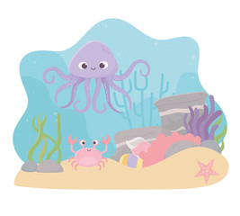 Wall Mural - octopus crab starfish life coral reef cartoon under the sea