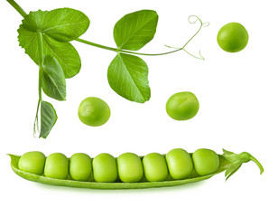 Poster - Green pea open pod with seeds and leaves on stem isolated on white background