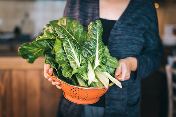 Chard leaves