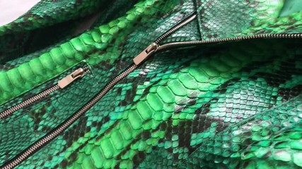 Wall Mural - Green snakeskin python texture. Fashion luxury leather jacket close up.