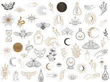 Vector Witch Magic Design Elements Set. Hand Drawn, Doodle, Sketch Magician Collection. Witchcraft Symbols. Perfect For Tattoo, Textile, Cards, Mystery