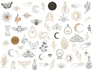 Wall Mural - Vector witch magic design elements set. Hand drawn, doodle, sketch magician collection. Witchcraft symbols. Perfect for tattoo, textile, cards, mystery