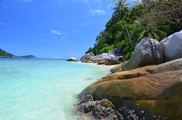 Wall Mural - tropical beach 