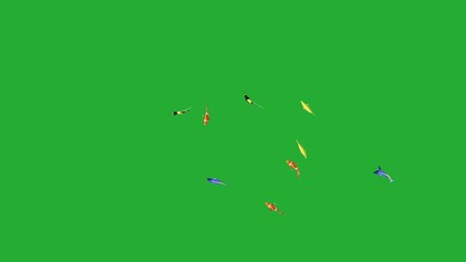 Wall Mural - Fishes motion graphics with green screen background 2