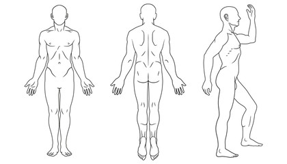 human body front, back and side views