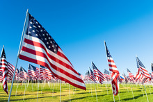 A Large Group Of American Flags. Veterans Or Memorial Day Display