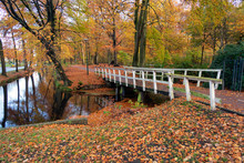 Autumn Look In Dutch Forest With Wooden Bridge And Ditch