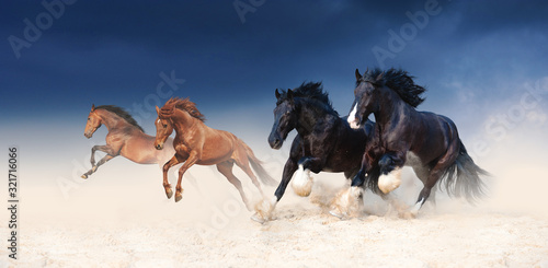 Fotomural A herd of black and red horses galloping in the sand against the background of a stormy sky