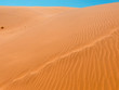 Wüste, Afrika