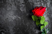 Big Red Rose On A Grunge Grey Background