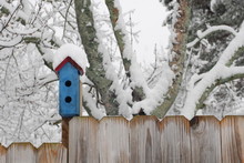 Birdhouse In The Snow