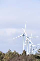 turbines generating electricity, vertical image