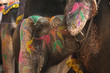 canvas print picture - Bemalter Elefant in Indien 