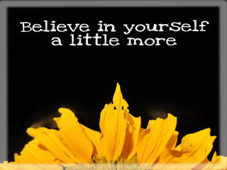 Wall Mural - inspirational and motivational quote of believe in yourself a little more with sunflower petal background