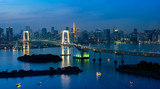 Fototapeta Miasta - panorama  view of Tokyo Tower skyline and Rainbow Bridge with cityscape at Odaiba Japan