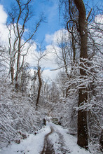 Winter Landscape With A Path And A Bridge 