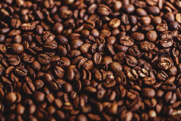 Wall Mural - Coffee grains. Background of roasted coffee beans brown. layout. Flat lay.