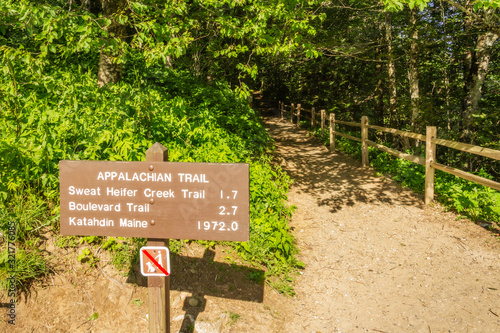 Fotografía Appalachian trail sign in Great Smoky Mountains National Park, Tennessee