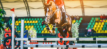 Riderl On Sorrel Horse In Jumping Show, Equestrian Sports. Light-brown Horse And Sportsman In Uniform Going To Jump. Horizontal Web Header Or Banner Design.