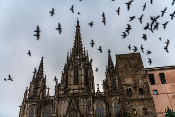 Wall Mural - Birds in flight in front of Cathedral of Barcelona