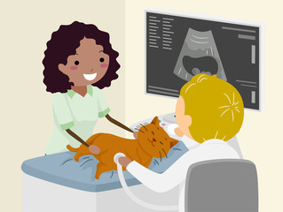 Poster - Stickman Vet Animal Ultrasound Illustration