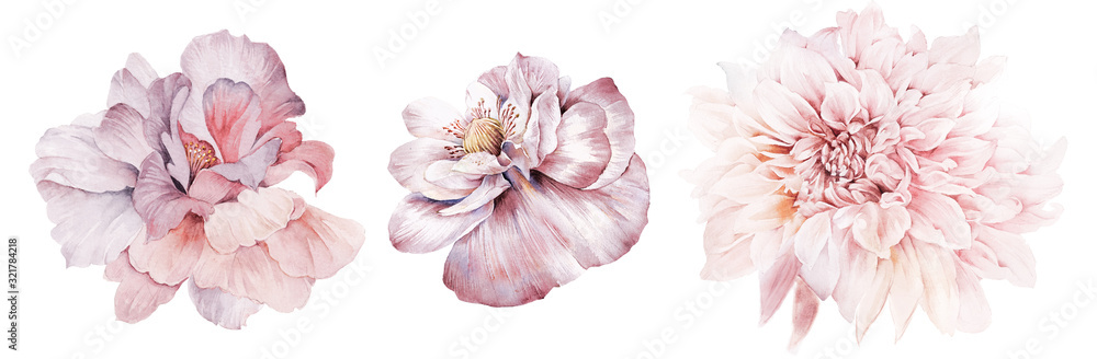 Flowers watercolor illustration.Manual composition.Big Set watercolor elements. - obrazy, fototapety, plakaty 