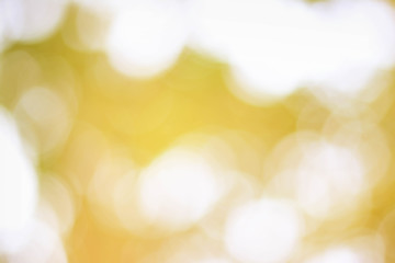 Sticker - yellow and orange color abstract bacground withe blurred defocus bokeh light for template