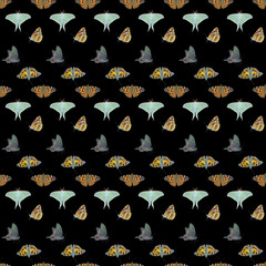 Poster - Butterflis. Seamless pattern.