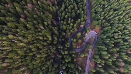 Wall Mural - Drone view of winding forest road