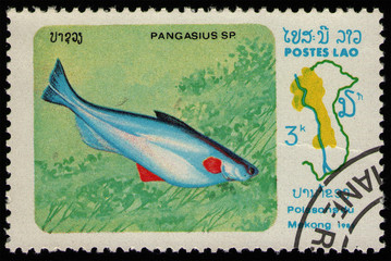 Wall Mural - LAOS - CIRCA 1983: stamp 3 Laotian kip printed by Lao People's Democratic Republic, shows Pangas Catfsh (Pangasius sp.) food fish, Mekong River Fish serie, circa 1983