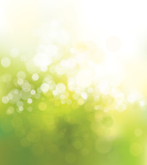 Wall Mural - vector green, lights background. spring background.