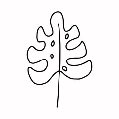 Wall Mural - Leaf outline line.Doodle style.The leaves of the trees, monstera, tropical leaves.Black and white image isolated on a white background.Vector
