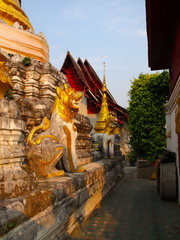 Temple in Chiangmai Thailand Beautifully decorated with wonderful colours statues of Buddha, Payanak, and Monks on walking street in the old city