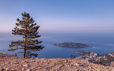 Wall Mural - Amazing morning in the mountains, view of the sea, Budva town and the island of Saint Nicholas, pine tree in the foreground.