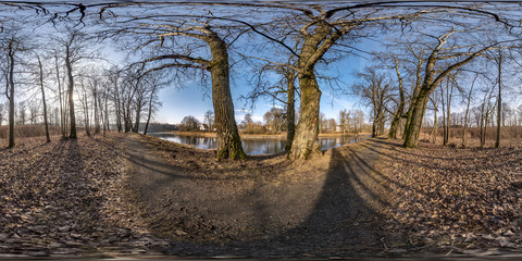 Wall Mural - full seamless spherical hdri panorama 360 degrees angle view on pedestrian walking path among oak grove with clumsy branches near lake in equirectangular projection with , ready VR AR content