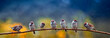 natural panoramic photo with little funny birds and Chicks sitting on a branch in summer garden in the rain