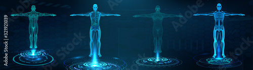 Human body polygonal wireframe and Transparent human body with anatomy of the structure of internal organs Poster Mural XXL