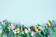 Blue background with spring flowers, festive composition for spring holidays