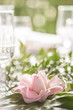 Luxury table setting with crustal glasses, porcelain dishes and floral decoration