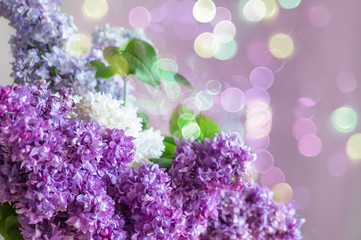 Wall Mural - Purple lilac flowers spring floral background with bokeh lights