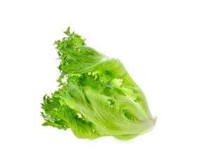 lettuce isolated on white background