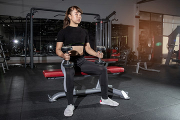 Young sports woman doing exercises with dumbbells in the gym. Fitness.