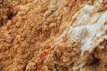 Wall Mural - Nature background of cracked dry lands. Natural texture of soil with cracks. Broken clay surface of barren dryland wasteland close-up. Full frame to terrain with arid climate. Lifeless desert on earth