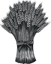 Illustration Of Sheaf Of A Wheat In Engraving Style. Design Element For Emblem, Sign, Poster, Card, Banner, Flyer. Vector Illustration