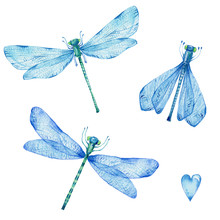 Set Of Blue Dragonflies And Heart; Watercolor Hand Draw Illustration; Can Be Used For Cards And Invitations; With White Isolated Background