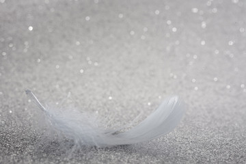 Wall Mural - feather on silver bokeh background. Close up