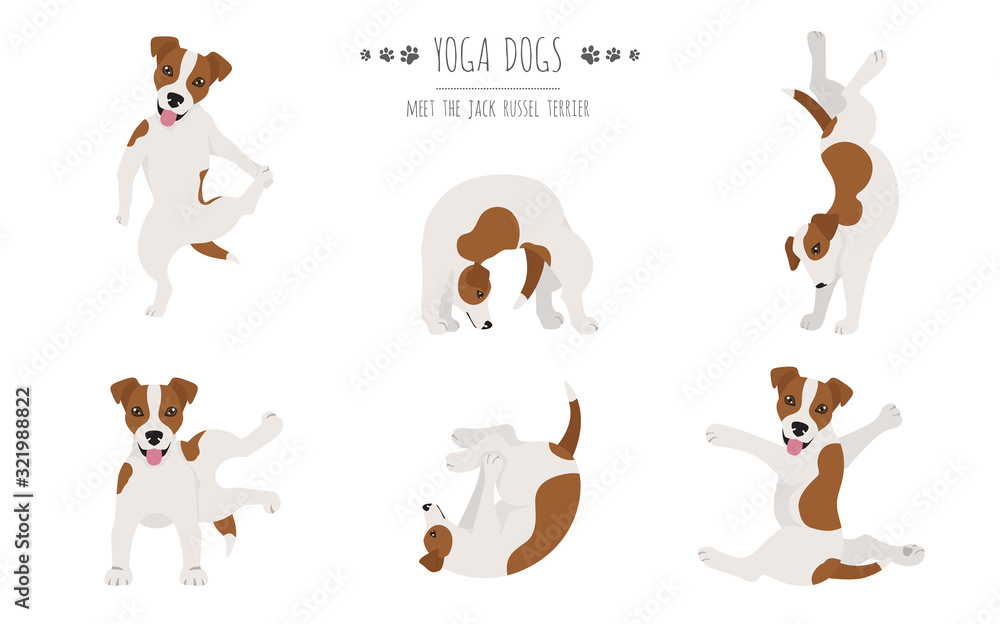 Yoga dogs poses and exercises poster design. Jack Russel terrier clipart - obrazy, fototapety, plakaty 