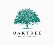 Oak Tree Silhouette Logo Icon Vector Illustration Template