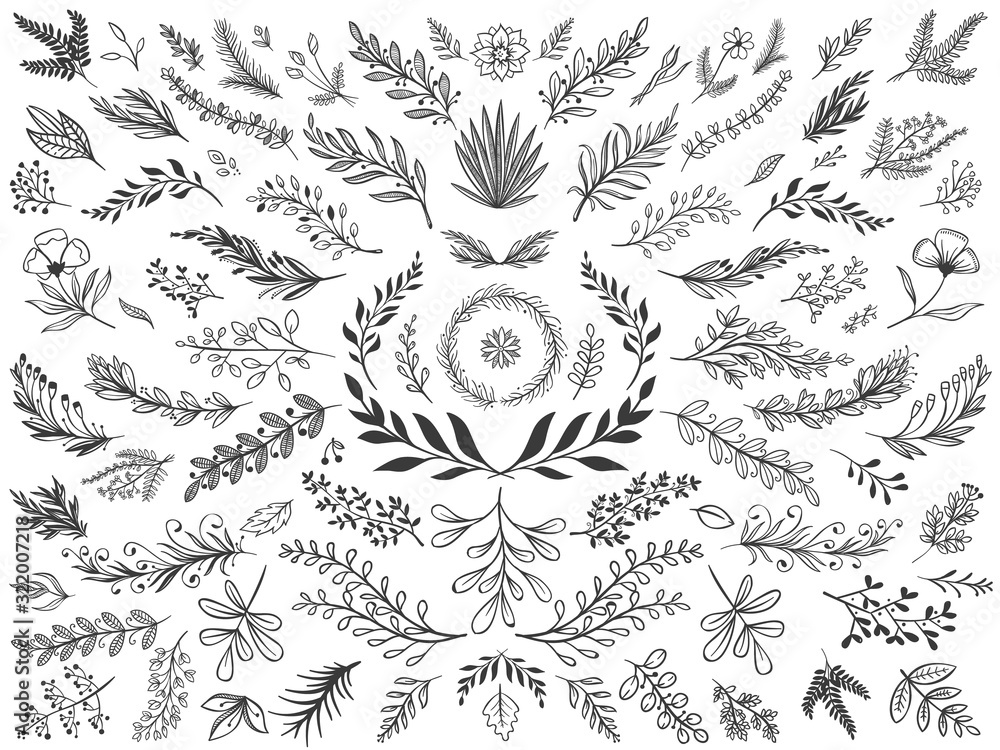Hand drawn floral decor leaves. Sketch ornamental branches, decorative leafs and flowers vector illustration set. Collection of sprigs, natural design elements, monochrome floristic decorations. - obrazy, fototapety, plakaty 